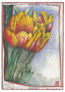 ...bring bitte Tulpen mit